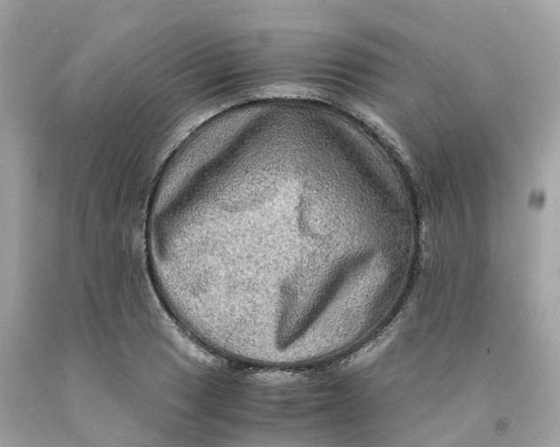 X0000091481033200709061834