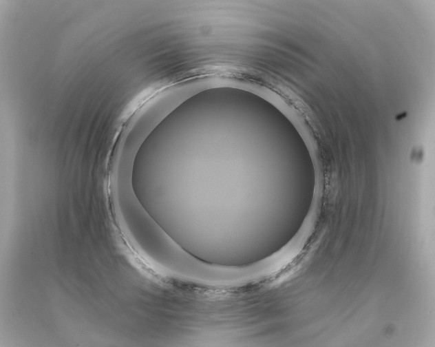 X0000091481034200709061835