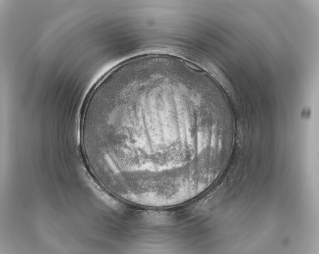 X0000091481036200709061835