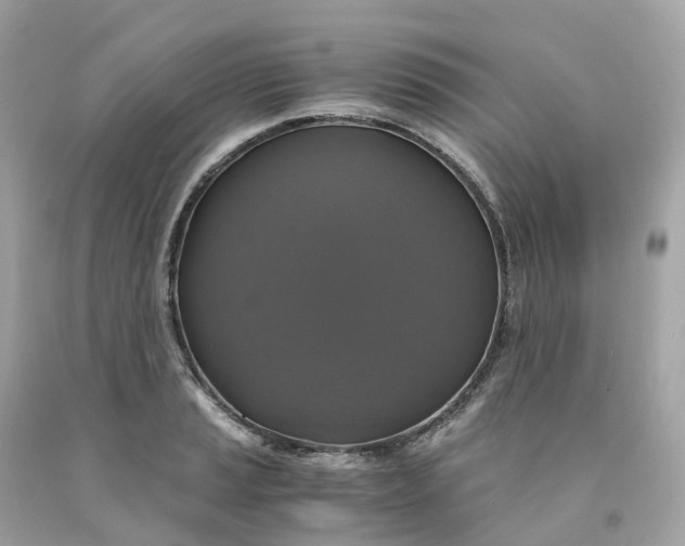 X0000091481037200709061835