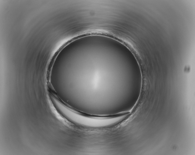 X0000091481038200709061835