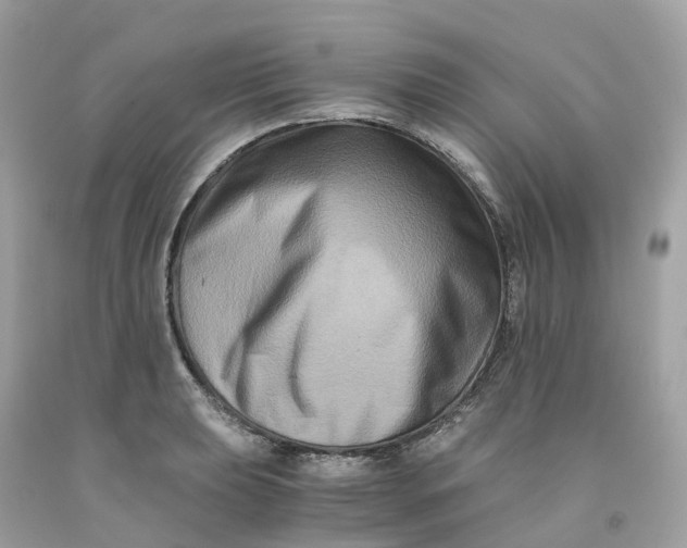 X0000091481039200709061835