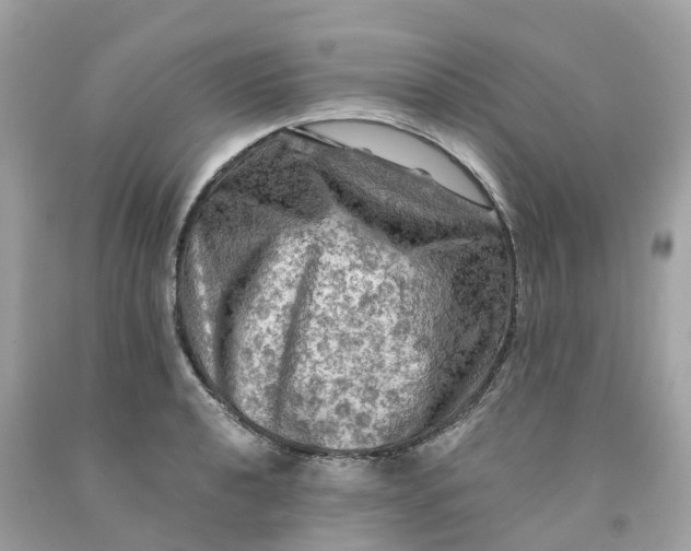 X0000091481040200709061835