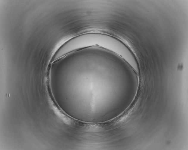 X0000091481042200709061835