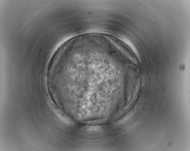 X0000091481043200709061835