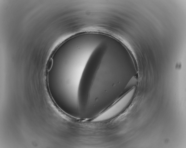 X0000091481045200709061835