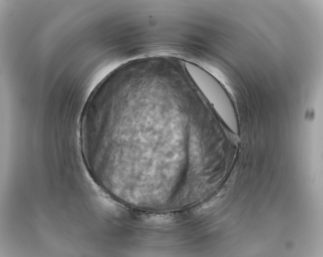 X0000091481047200709061835