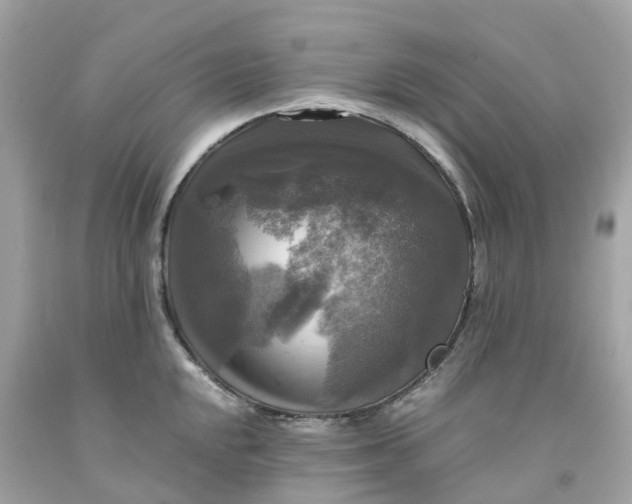 X0000091481048200709061835