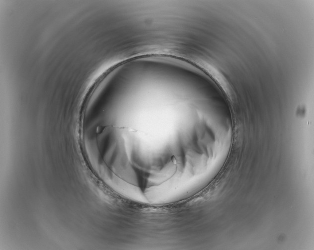 X0000091481051200709061835