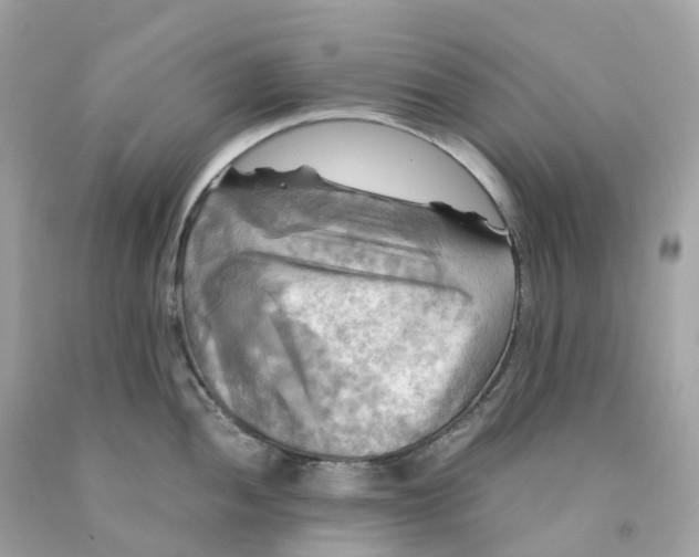 X0000091481052200709061835