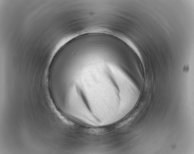 X0000091481053200709061835