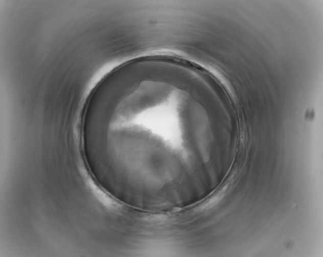 X0000091481054200709061835