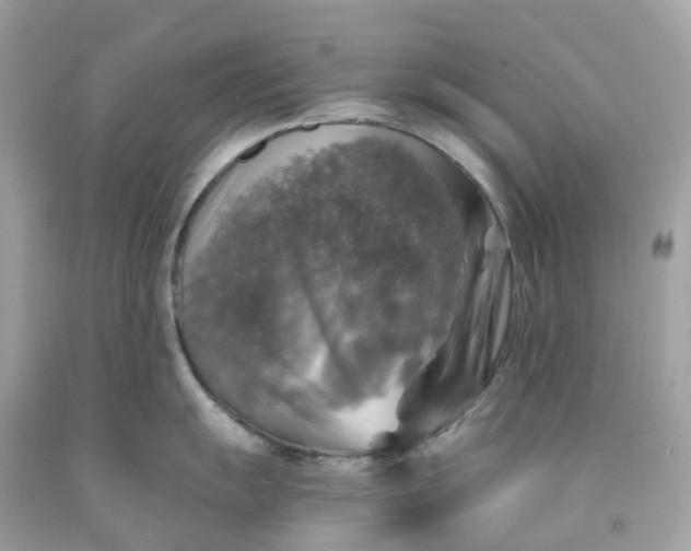 X0000091481055200709061835