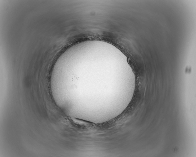 X0000091481057200709061834