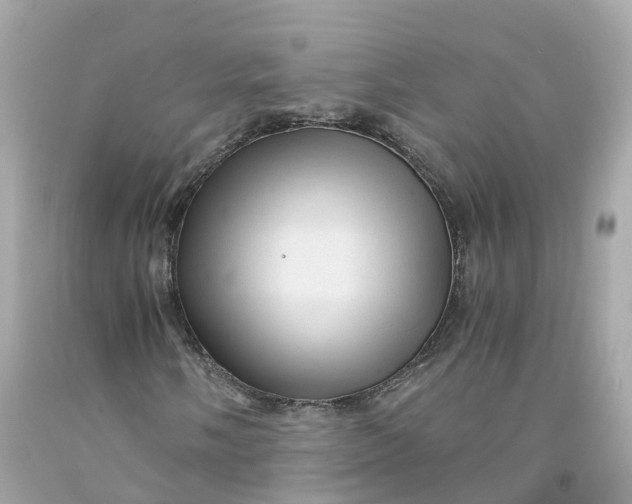 X0000091481058200709061834