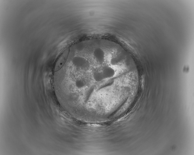 X0000091481059200709061834