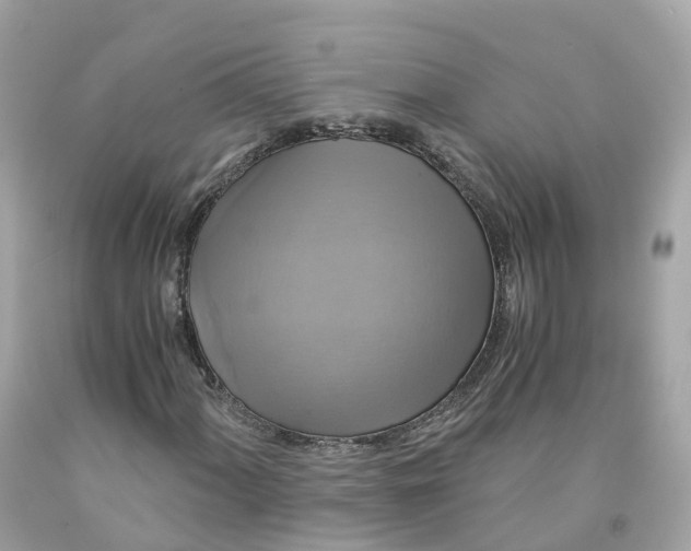 X0000091481060200709061834