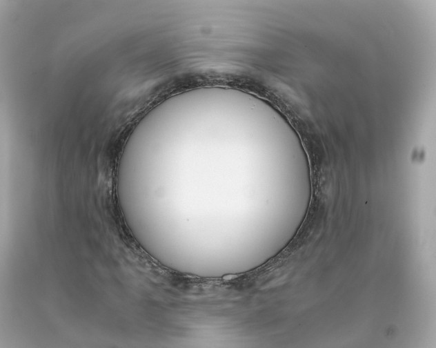 X0000091481061200709061834