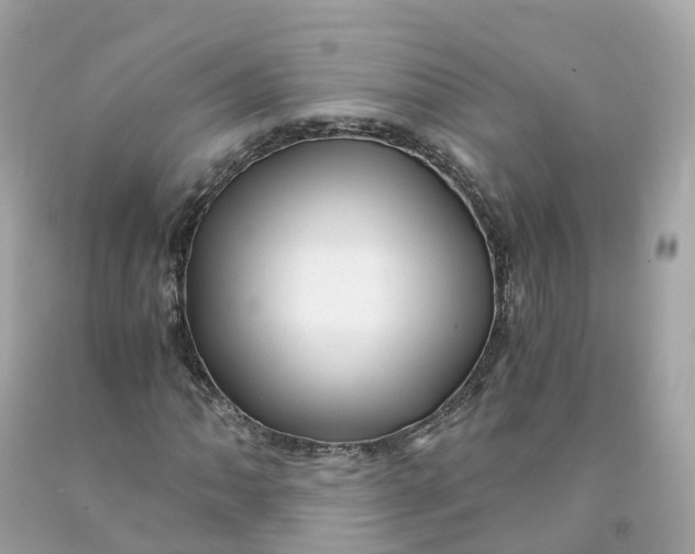 X0000091481062200709061834