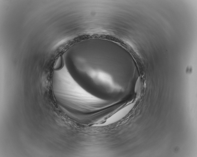 X0000091481063200709061834