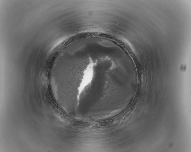 X0000091481064200709061834