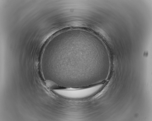 X0000091481065200709061834