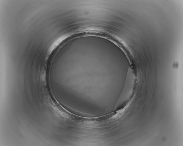 X0000091481066200709061834