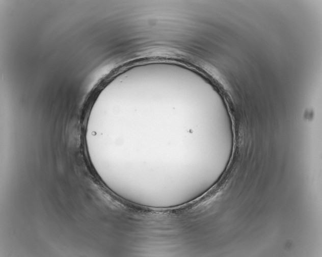 X0000091481067200709061834