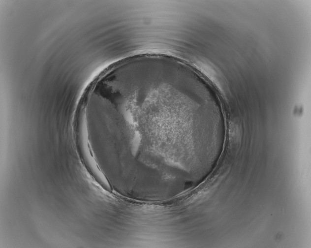 X0000091481068200709061834