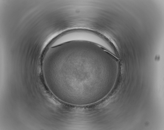 X0000091481069200709061834