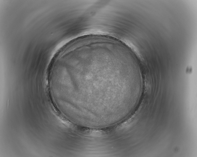 X0000091481070200709061834