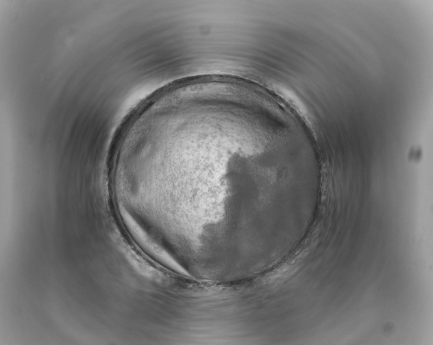 X0000091481072200709061834