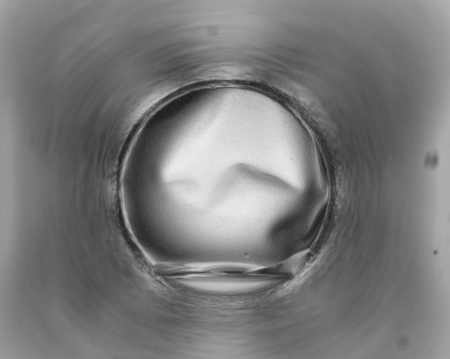 X0000091481073200709061834