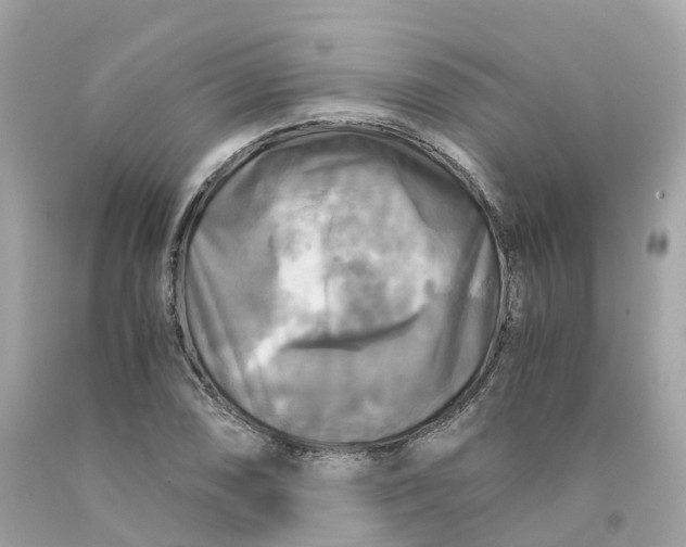 X0000091481074200709061834