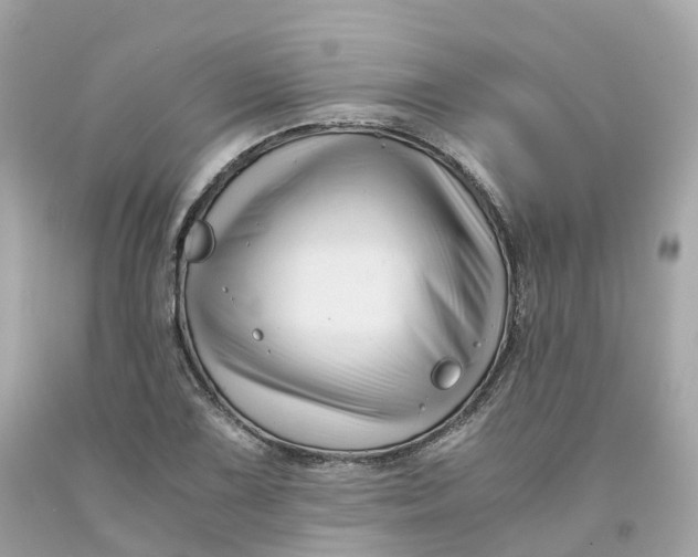 X0000091481075200709061834