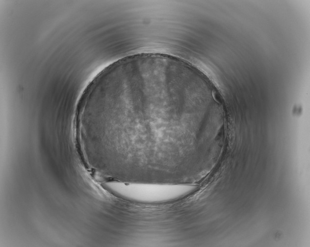 X0000091481076200709061834