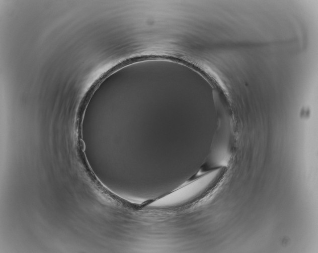 X0000091481077200709061834