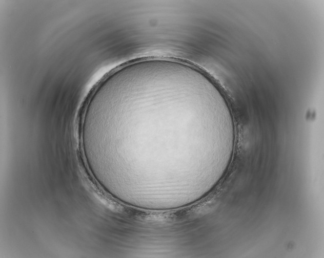 X0000091481078200709061834