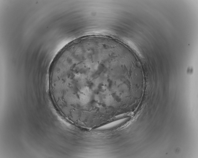 X0000091481079200709061834