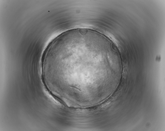 X0000091481080200709061834