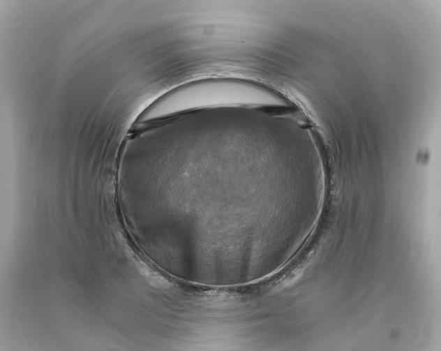 X0000091481081200709061834