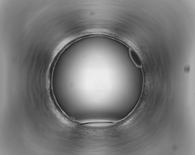 X0000091481082200709061834