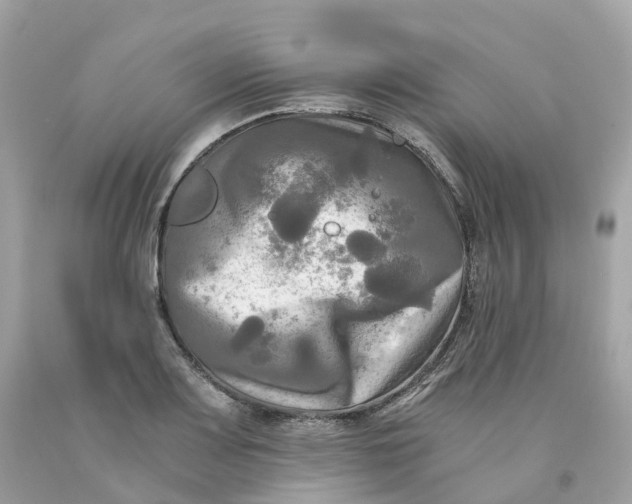 X0000091481083200709061834