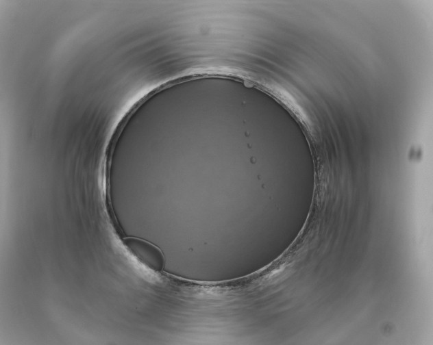 X0000091481084200709061834