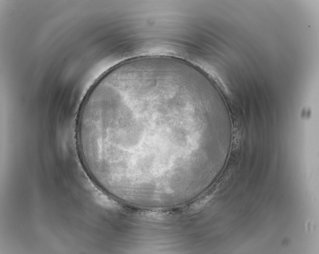 X0000091481086200709061834