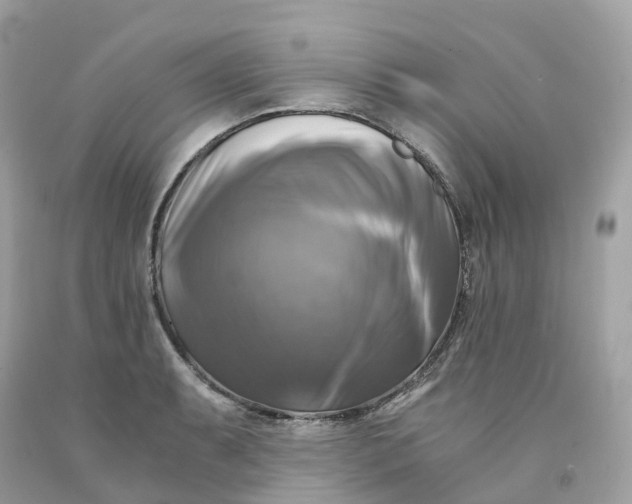 X0000091481087200709061834