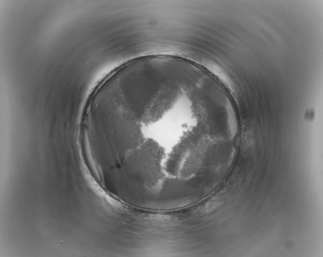 X0000091481088200709061834