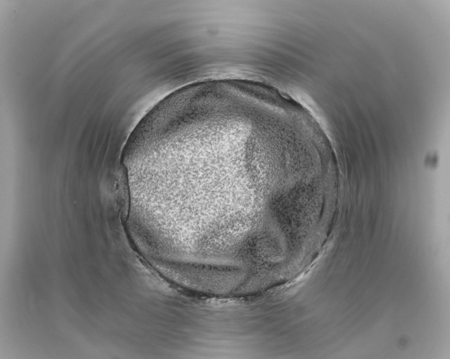 X0000091481089200709061834