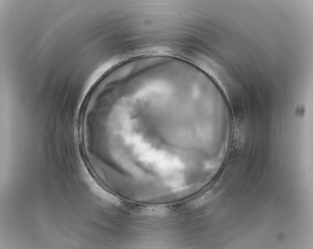 X0000091481090200709061834