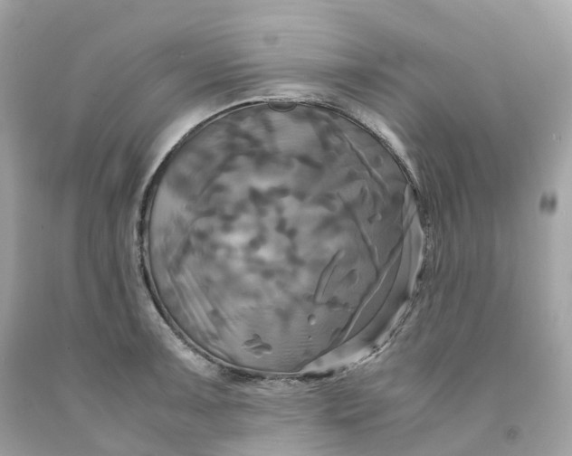 X0000091481091200709061834